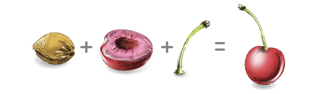 kirschwerk macht Komplexes einfach mit Usability