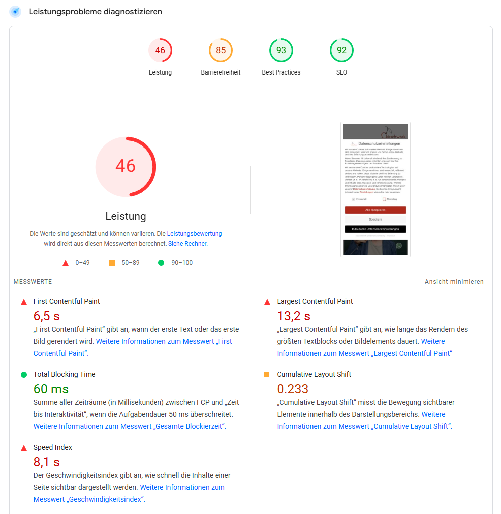 Darstellung eines Ergebnisses von PageSpeed Insights zur Diagnose von Leistungsproblemen einer Website.